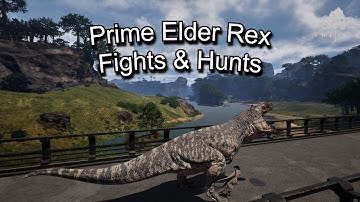Prime Elder Rex: Hunts & Fights