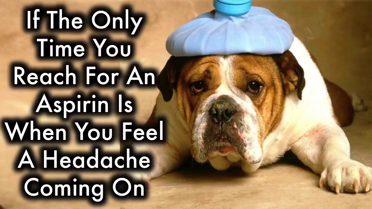 See What Happens When You Use Aspirin in Your Garden YouTube