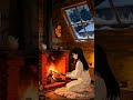 winters warmth ✨️💫