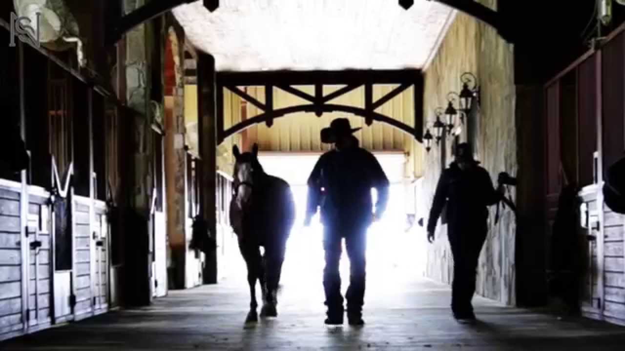 At Home With Gunners Special Nite at Tom McCutcheon Reining Horses