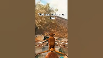 Thumbnail of When the fire ants spot that one alate during a raid: #ant #roblox #antlife #insect #fypviralシ #fyo