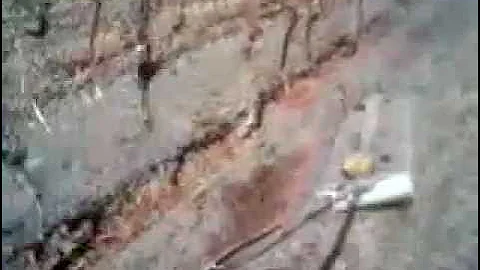 DualEM Conductivity Mapping