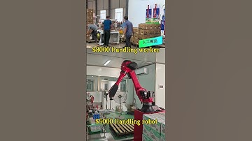 Palletizing robot #palletizing #robot #industrial #factory #automate #vietnam #machine