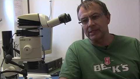 GENUS: Marine Life in Oxygen Minimum Zones