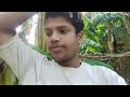 Kaachi Dargah to Bidupur Six Lane Project Latest Update | Patna Raghopur Ganga Bridge Work Progress🚧