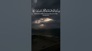 سورة [الشعراء] الشيخ ياسر الدوسري