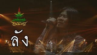 Video thumbnail of "ลัง - มาลีฮวนน่า - คอนเสิร์ต 26 ปี มาลีฮวนน่า เพื่อนกัญ ไว ฉะ กัญ"