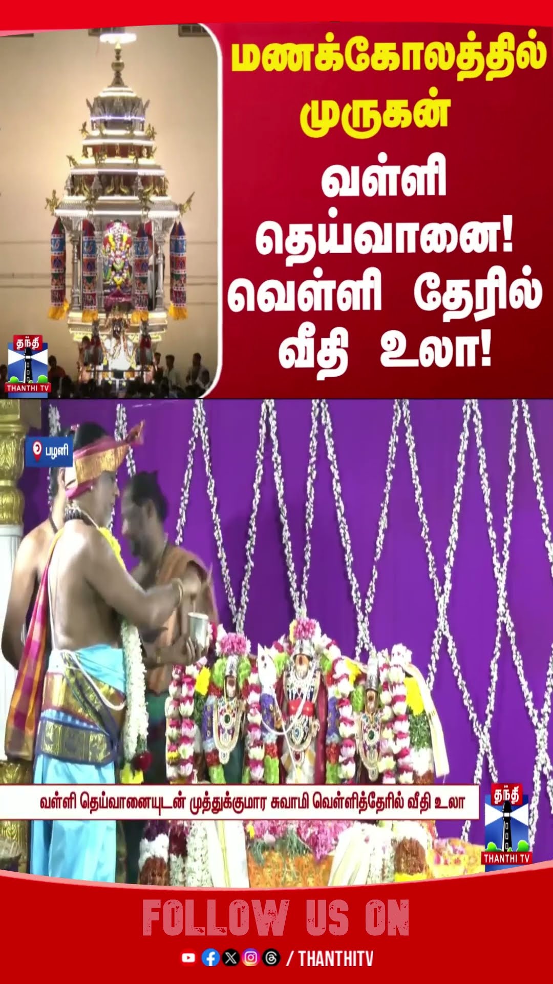 PALANI || MURUGAN || TEMPLE || THAIPOOSAM || VALLI || DEIVANAI ||