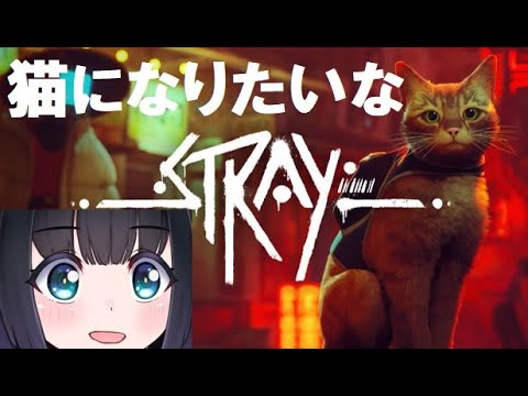 【Stray #1】自分を猫だと思いこんでいるメドウィンがなりきり初見プレイ！【メドウィンの〇〇するとこみてて#107 】