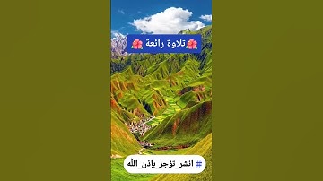 تلاوة هادئة تريح القلب #سورة_يس #القرآن_الكريم
