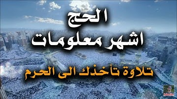 الحج اشهر معلومات | تلاوة تأخذك الى الحرم