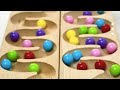 Marble Run Race HABA Slope with Blue Water Shorts Mix #marblerunrace #asmr #satisfying #watersounds