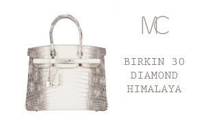 Hermes Birkin 30 Bag Diamond Himalaya Blanc Matte Niloticus Crocodile with 18K White Gold Hardware