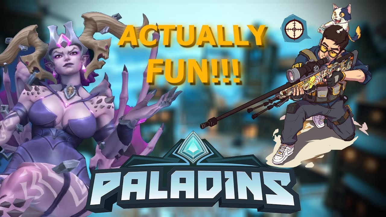 So This is Paladins!