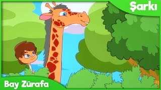 Bay Zürafa Çocuk Şarkısı 🦒 Okul Öncesi Çocuk ve Bebek Şarkıları Resimi