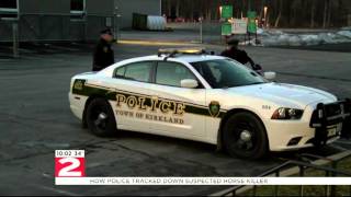 Man charged with shooting, killing Kirkland horse wanted for arson of father's home
