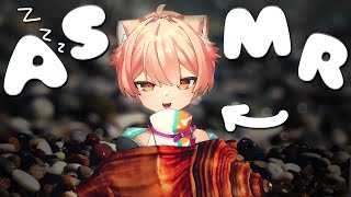 【ASMR】hermit crab (dog) permits you to sleep 🦀💤【Binaural/SR3D】