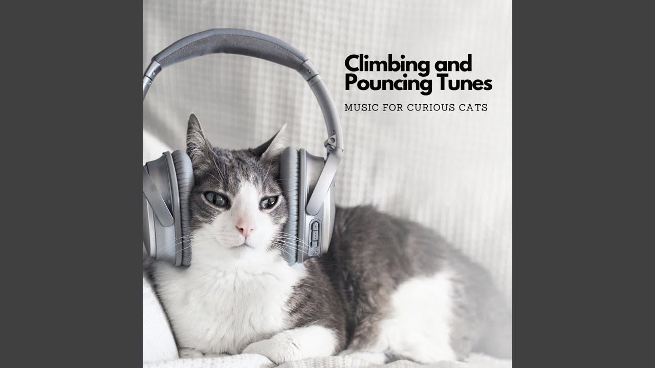 Pouncing Hymns of Feline Play