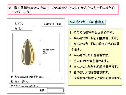 小３理科 大日本図書 たねまき Youtube