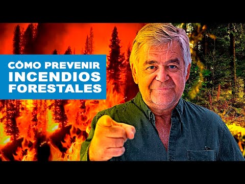 Video: Cómo Prevenir Los Incendios Forestales