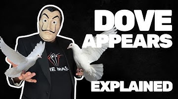 Learn The Classic Dove Illusion Trick That Appears 🪄🕊️ #tricks #magic #magictricks #foryou