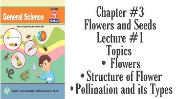 Class 5| Chapter #3| Flowers and Seeds| Lecture #1