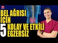 BEL AĞRISI İÇİN 5 KOLAY EGZERSİZ Bel Fıtığı Bel Düzleşmesi Için