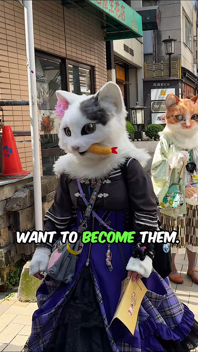 Japan has Cat food for Humans! 😱