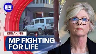 Federal MP Helen Haines struck by car outside her electorate office | 9 News Australia