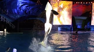 Shamu's Celebration: Light Up the Night (Full Show) at SeaWorld San Diego 6/15/15