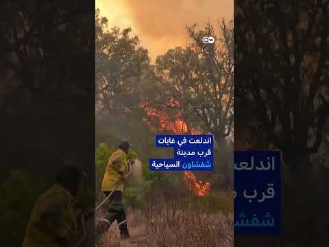 المغرب: جهود مستمرة لإخماد حرائق الغابات