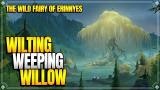 Wilting Weeping Willow | The Wild Fairy of Erinnyes | World Quests & Puzzles |【Genshin Impact】