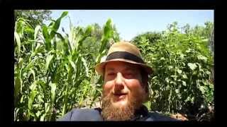 Welcome to the Plant Abundance YouTube Channel
