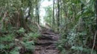 Version 3 of the video