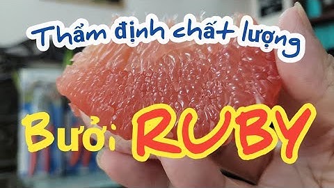 Thẩm định chất lượng trái bưởi Ruby Tabtim Siam Thái Lan đầu tiên