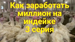 Как заработать миллион на индейке// В гости на семейную ферму к чете Сухацких 3 серия