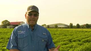 2023 Georgia Peanut Tour - Scott Monfort