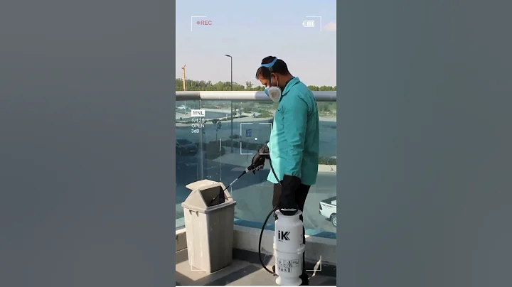 Pest Control Service Dubai #pestcontrol #dubai
