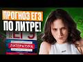 ЭТО будет на ЕГЭ по ЛИТЕРАТУРЕ 2026! / ПРОГНОЗ, чего ждать на ЕГЭ по литре и как сдать на 80+?