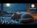 рџ ґ24 7 Relaxing Piano Music With Cat Purring Calming Sounds For Cats The Cat World BestforCats рџ ґ24 7 Relaxing Piano Music With Cat Purring Calming Sounds For Cats The Cat World BestforCats