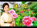 送り傘  伍代夏子