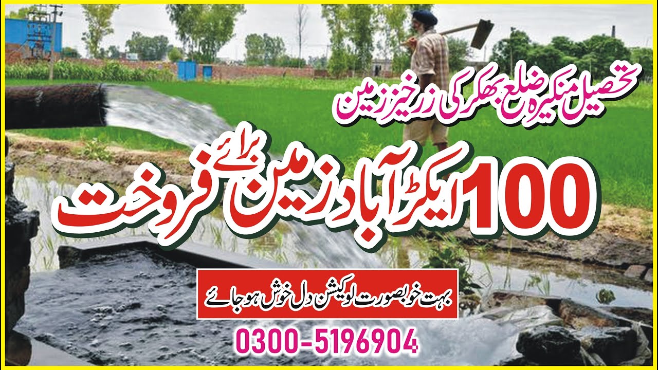 Land For Sale 100 Acre Cheap Agriculture Land in District Bhakkar Abad Zameen Tubwell Laga