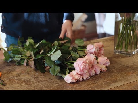 How to condition Flowers