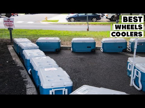 The 7 Best Coolers with Wheels of 2023