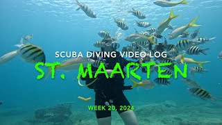 Scuba Diving Vlog - Week 20, 2024