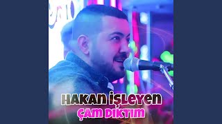 Çam Diktim