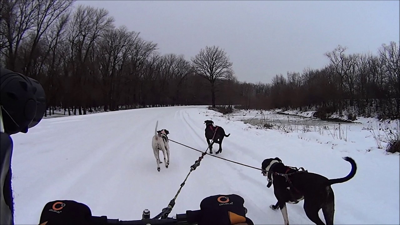 Snow Scooter joring 12/ 25/ 2016 YouTube