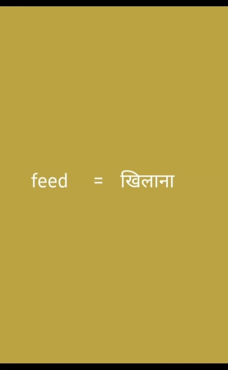 Feed Meaning In Hindi meaning ytshorts trending shorts meaning In feed-meaning-in-hindi-meaning-ytshorts-trending-shorts-meaning-in