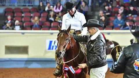 A Judge's Perspective: 2017 AQHA World Senior Ranch Riding World Champion