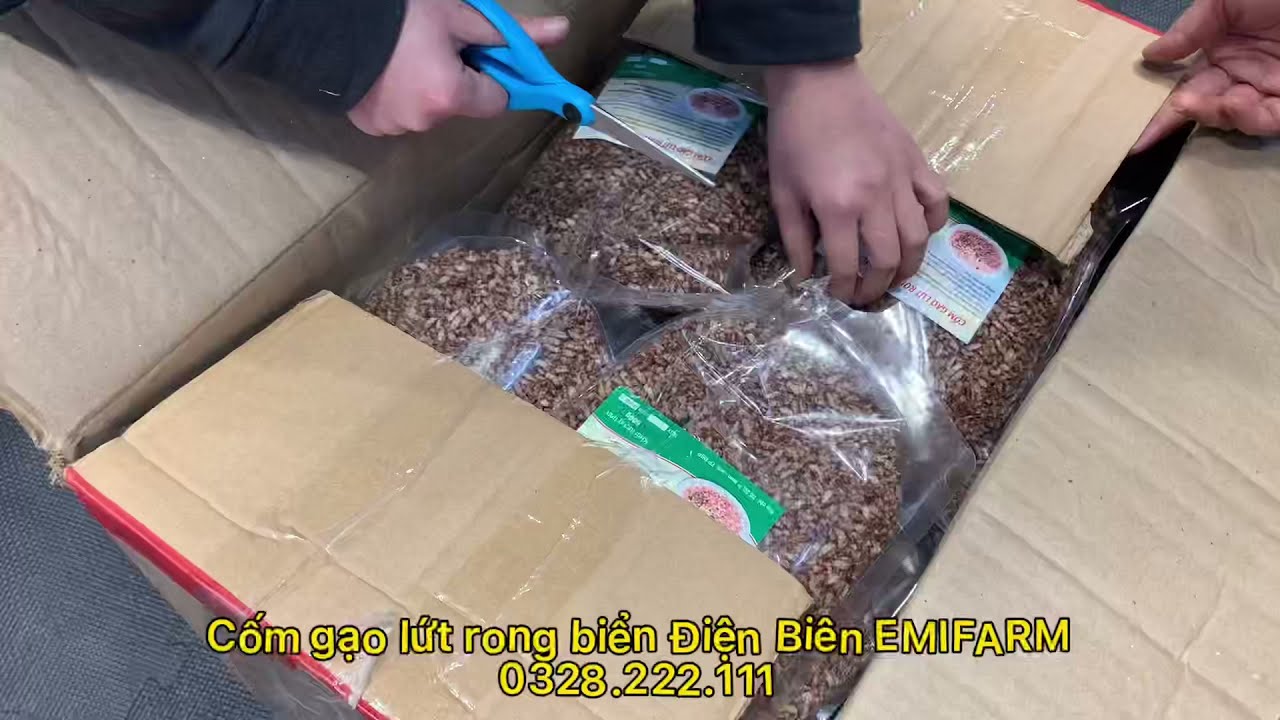 Rong Biển Gạo Lứt Chìa Khóa Giải Pháp Sống Khỏe Mỗi Ngày